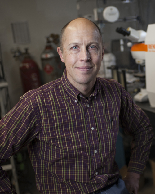 Dr. Rob Walker