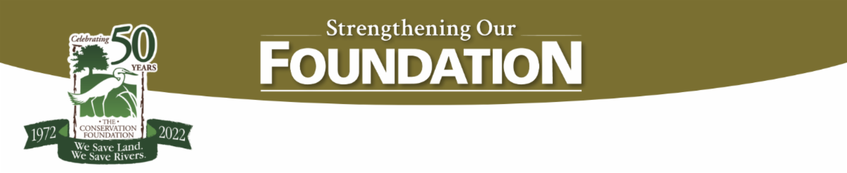 Strengthening Our Foundation email banner