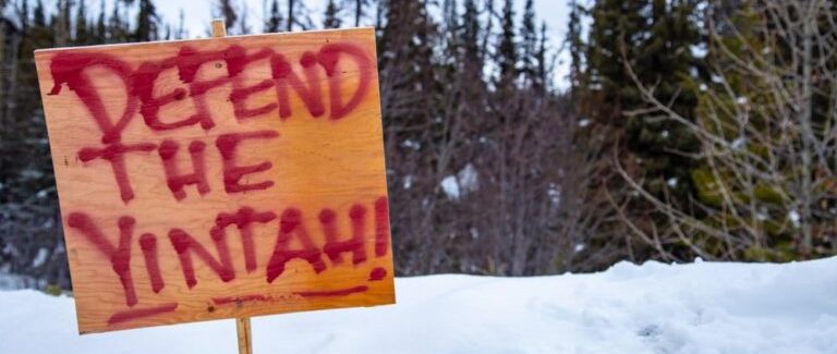 defend-the-yintah-768x491-1.jpeg