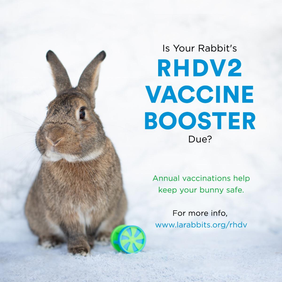 LowCost RHDV Booster Clinic on April 16th (West LA)
