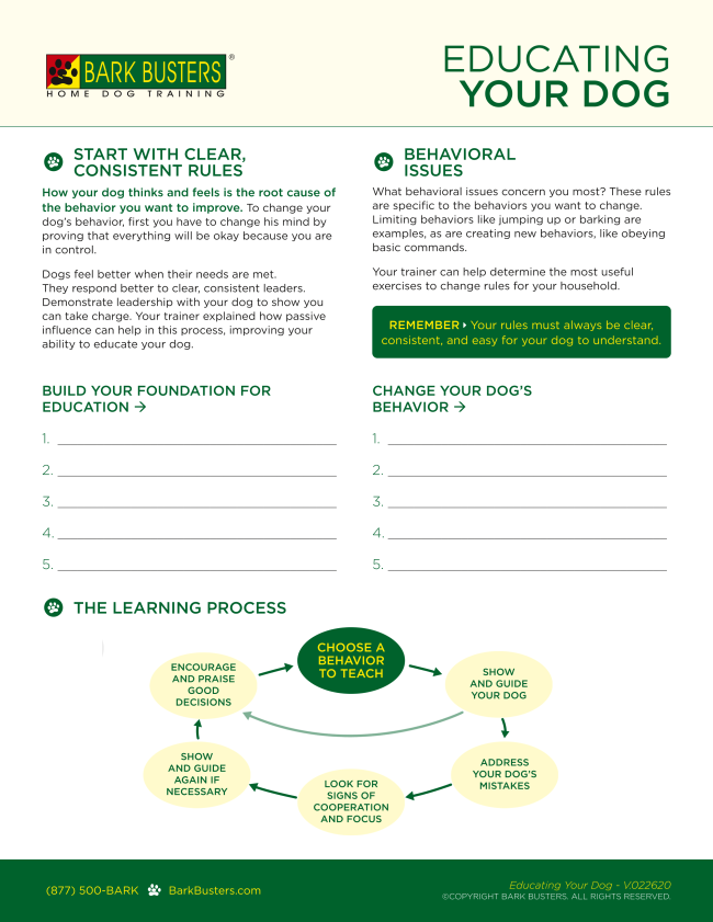 BARK BUSTERS TRAINING DOCUMENTATION