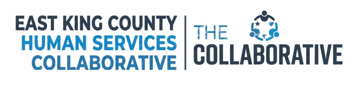 The Collaborative Connection