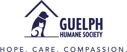 branding logo