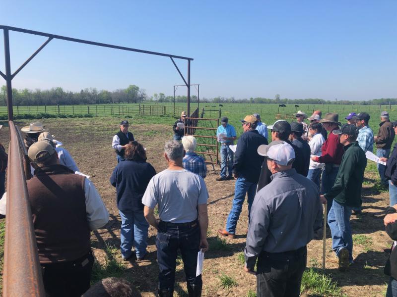 Frontier Extension District Making A Difference