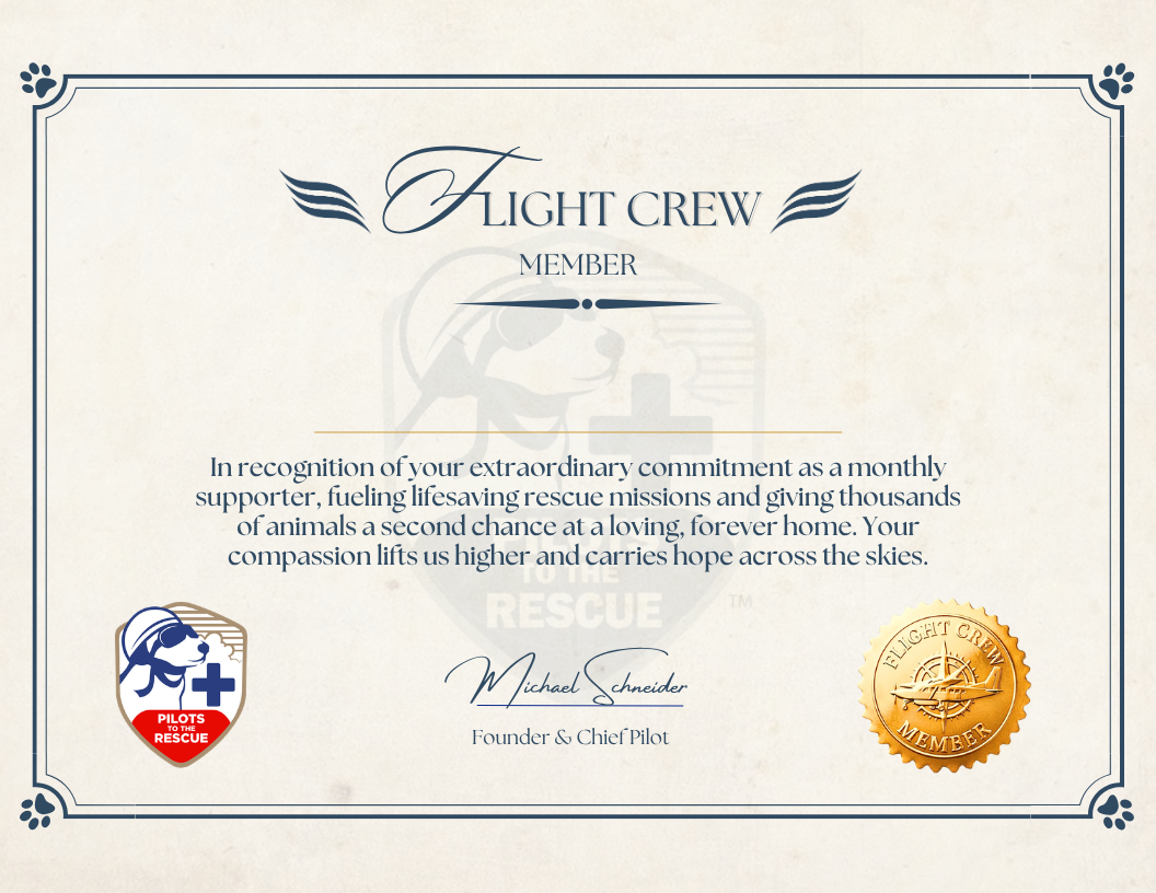 Copy_of_Editable_Flight_Crew_Certificate_p1.png