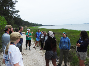 Teachers learn about salt marsh ecology at the SCDNR Fort Johnson campus overlooking Charleston Harbor