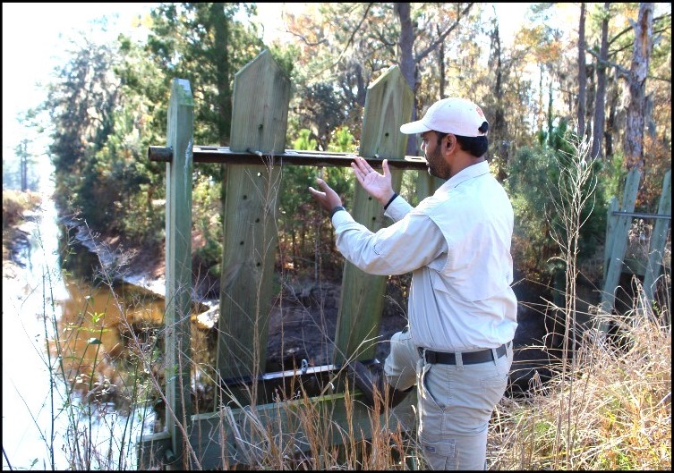 Photo of a researcher demonstrating how a rice trunk works.