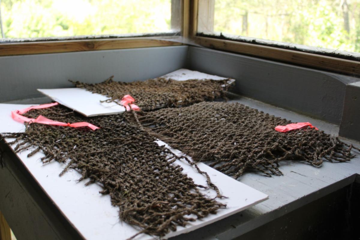 Photo of coir geotextile samples stacked on a table
