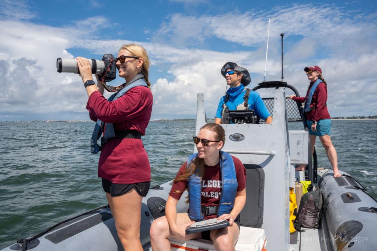 Researchers on a boat in ocean off Charleston SC photographing bottlenose dolphins