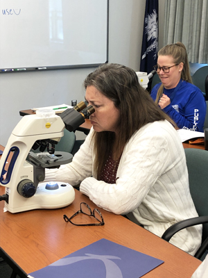 An educator observes the contents of a slide on a light microscope
