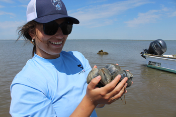 Photo of 2025 CSAP apprentice Abigail Krug holding a half dozen wild clams 
