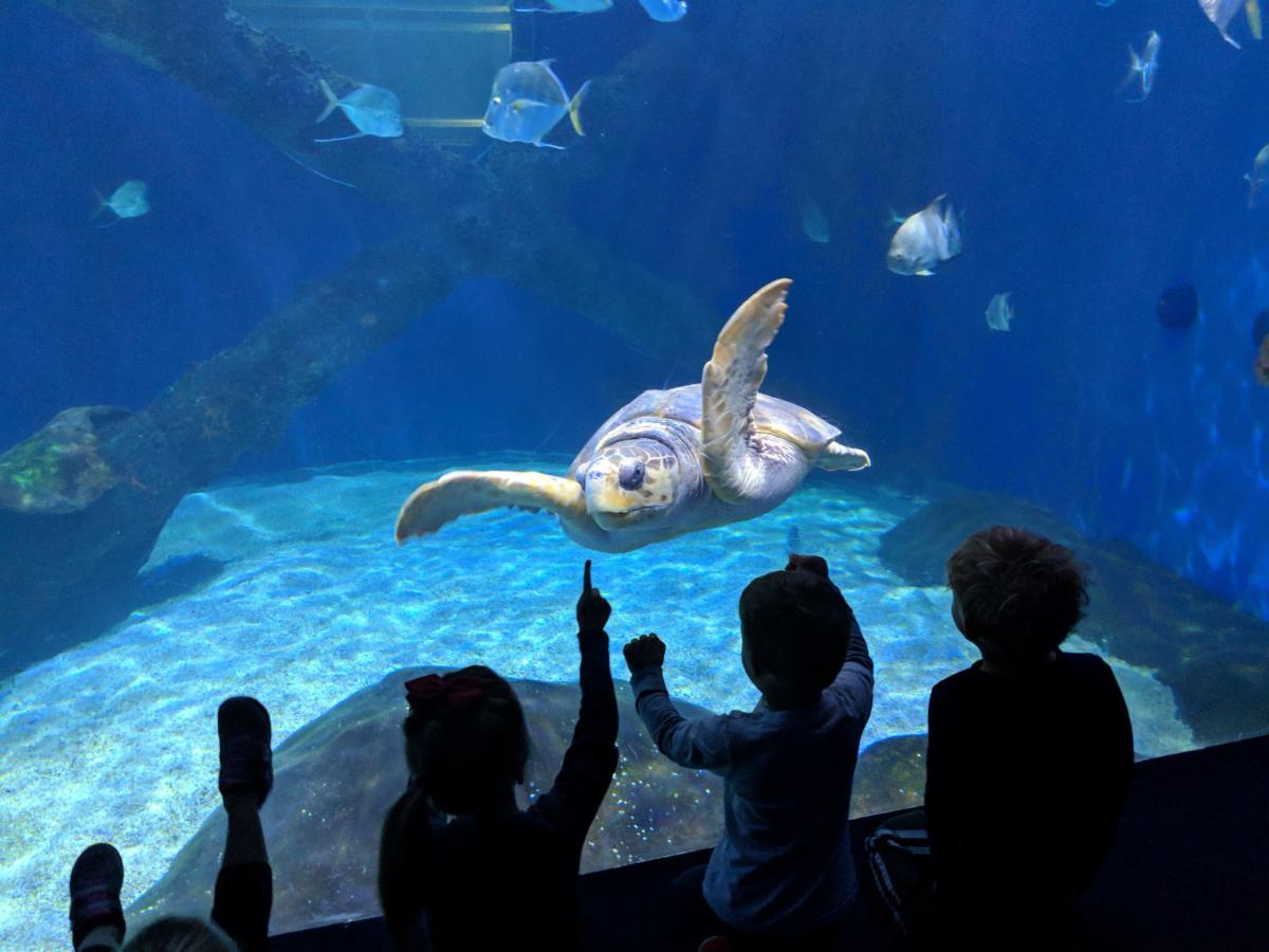 Virginia Aquarium