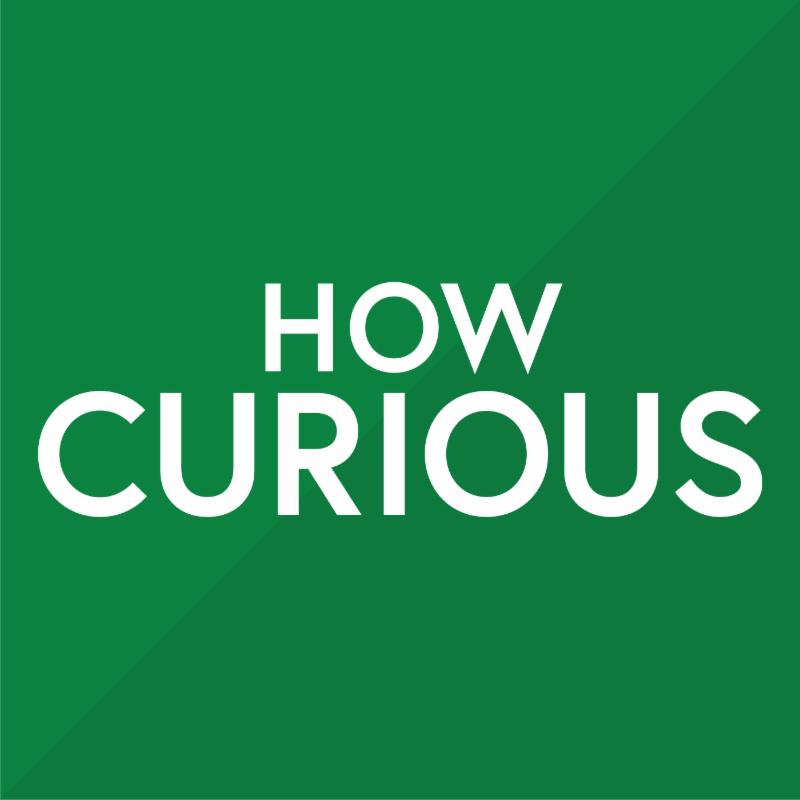 How Curious