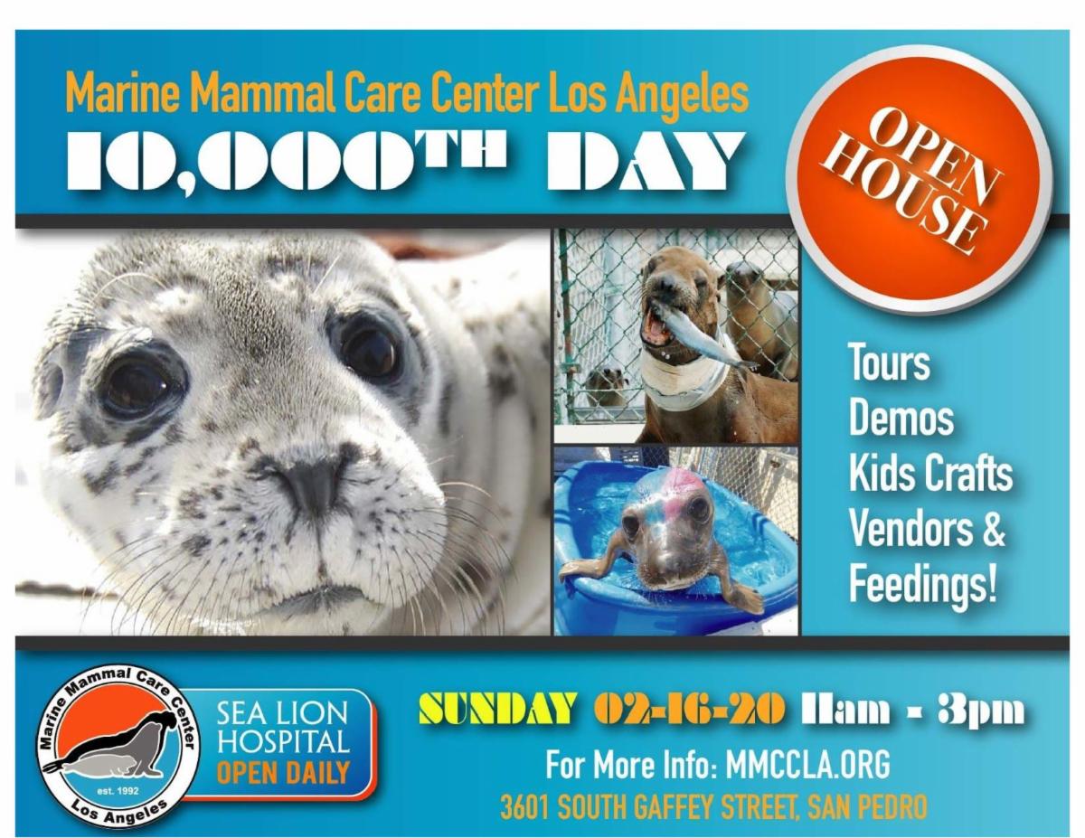 Marine Mammal Care Center Open House &amp; Donation Drive