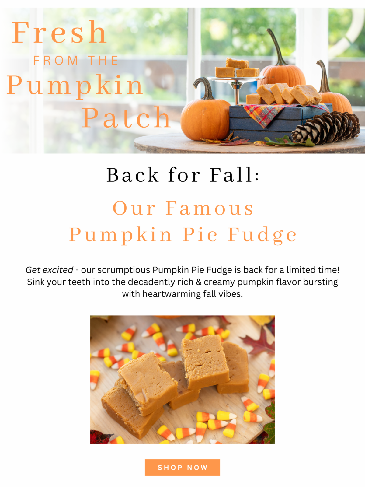 🎃 It's BACK! The Original Fudge Kitchen