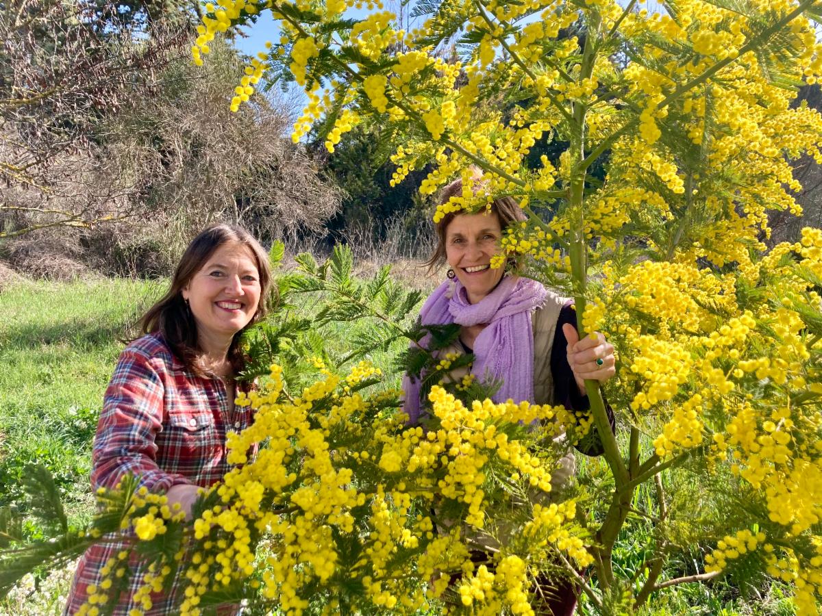 Rachel & Marick Ã&nbsp; Aix-en-Provence avec les mimosas
