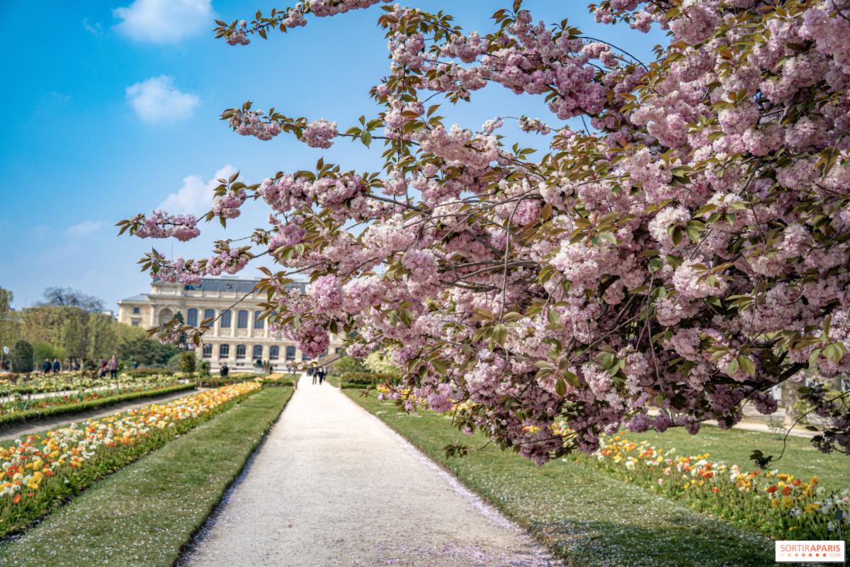 Jardin des Plantes 
