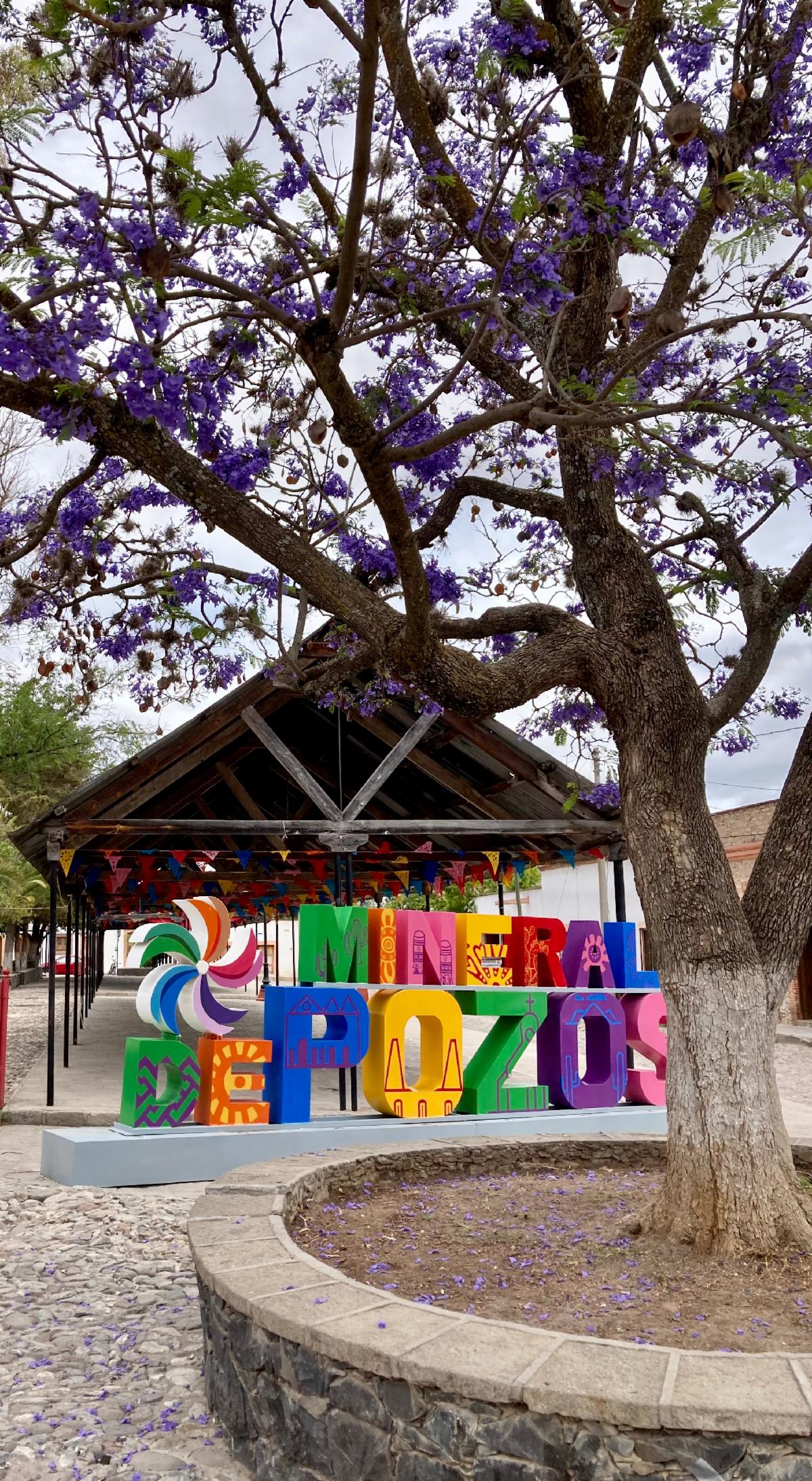 Pozos
