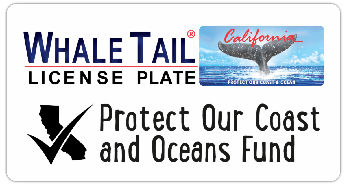 logos for Whale Tail License Plate and Protect Our Coast and Oceans Fund