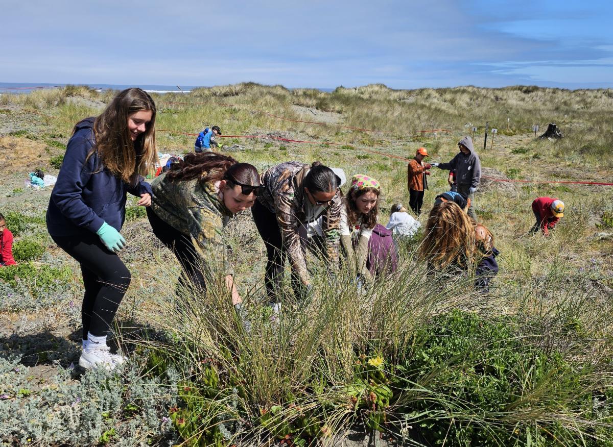 A group of youth take part in dune restoration work