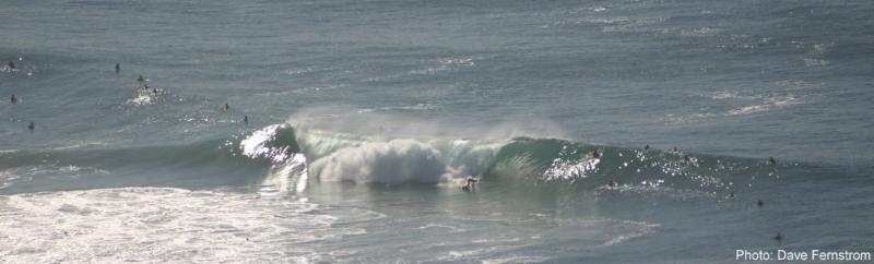 Surfers off Torrey Pines