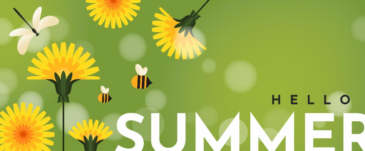 hello summer