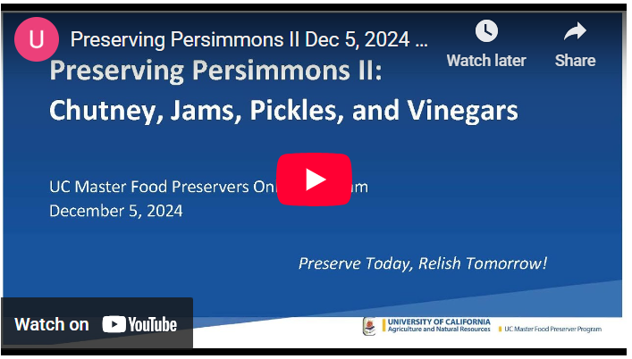 screenshot of YouTube video called Preserving Persimmons 2, chutney, jams, pickles and vinegar