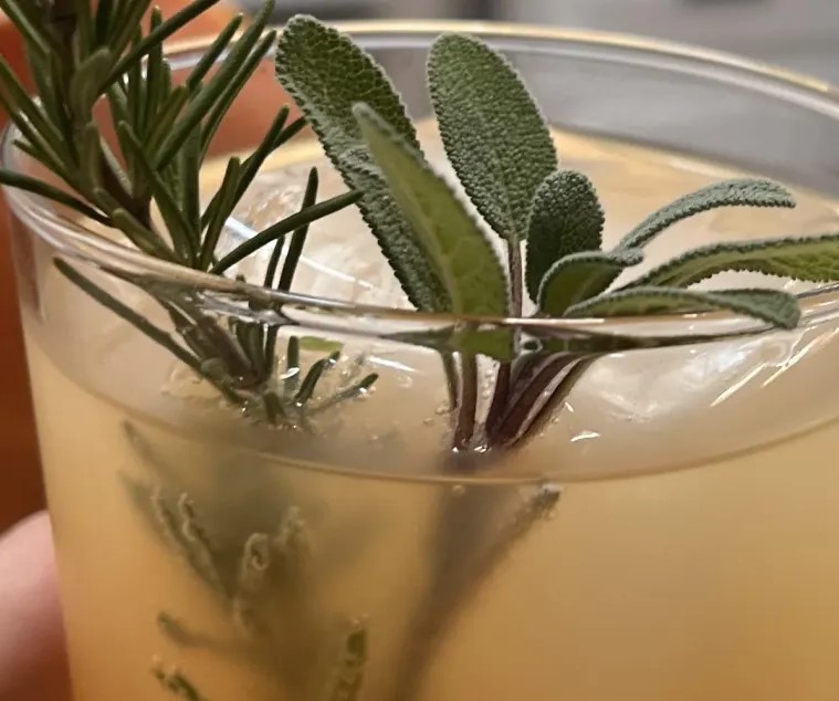 rocks glass with clear liquid and sprigs of fresh rosemary and sage