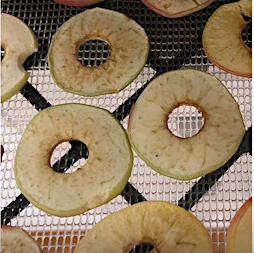 sliced apple rings on a dehydrator rack