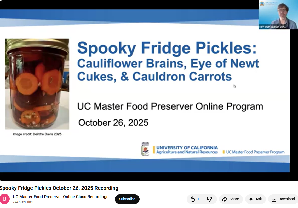 screenshot refrigerator pickles you tube link