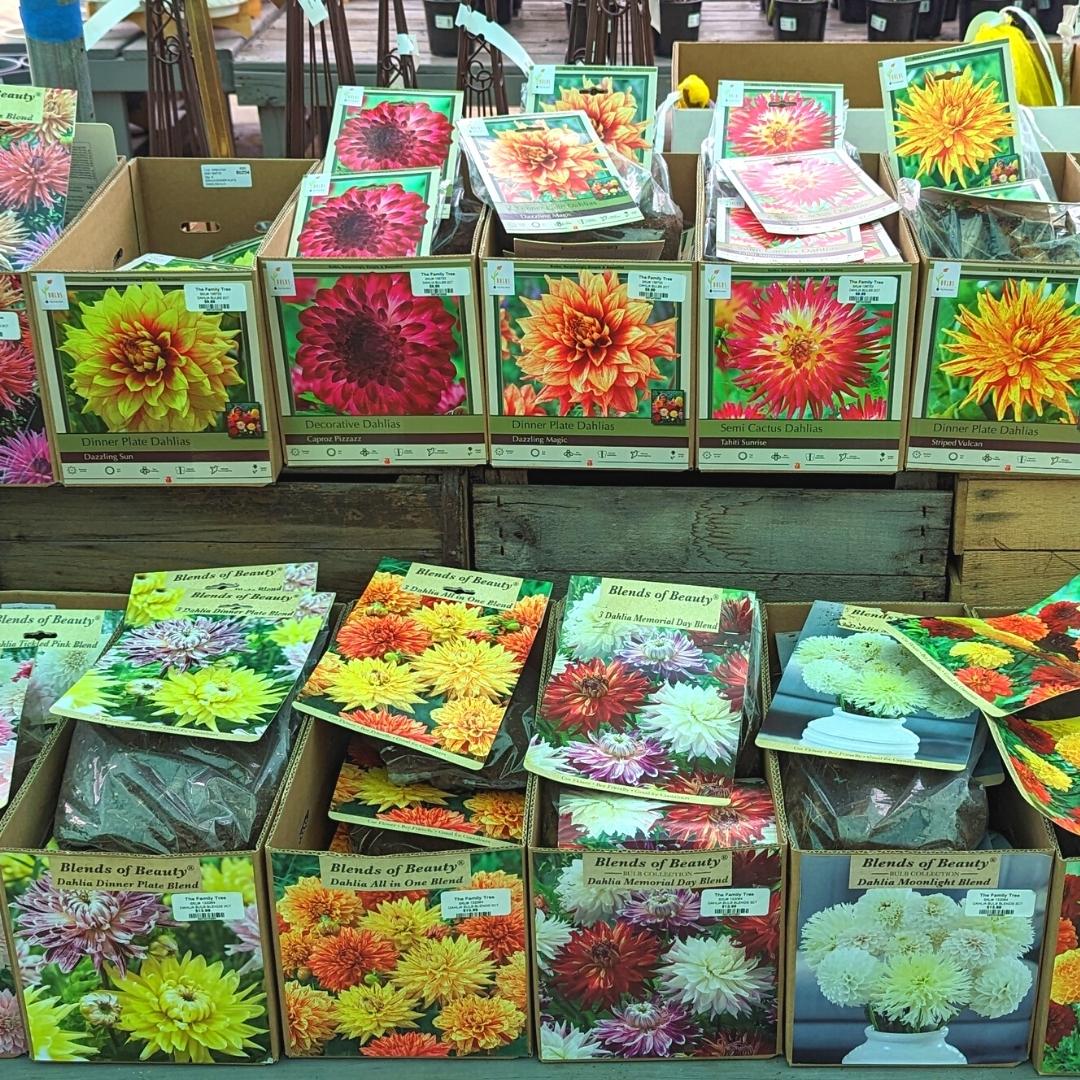 Newsletter Square April 7.jpg