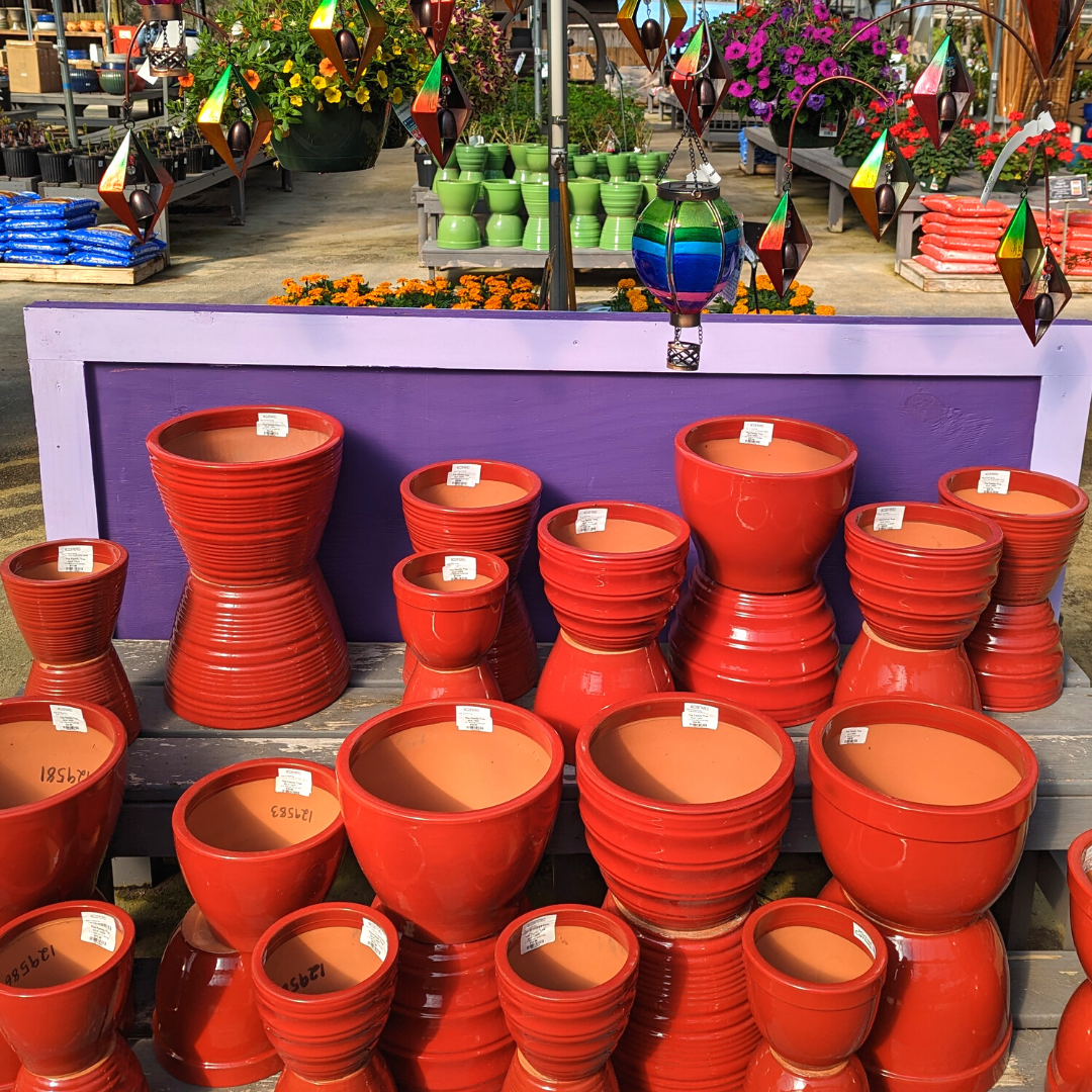 Newsletter Plant Square.png