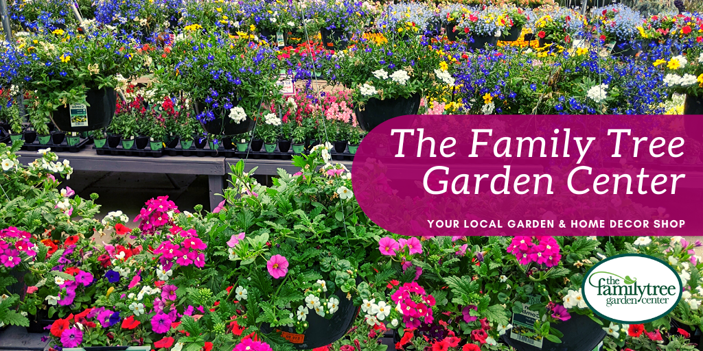 Order Now From Our New Online Plant Catalog 🍎🍅🍓