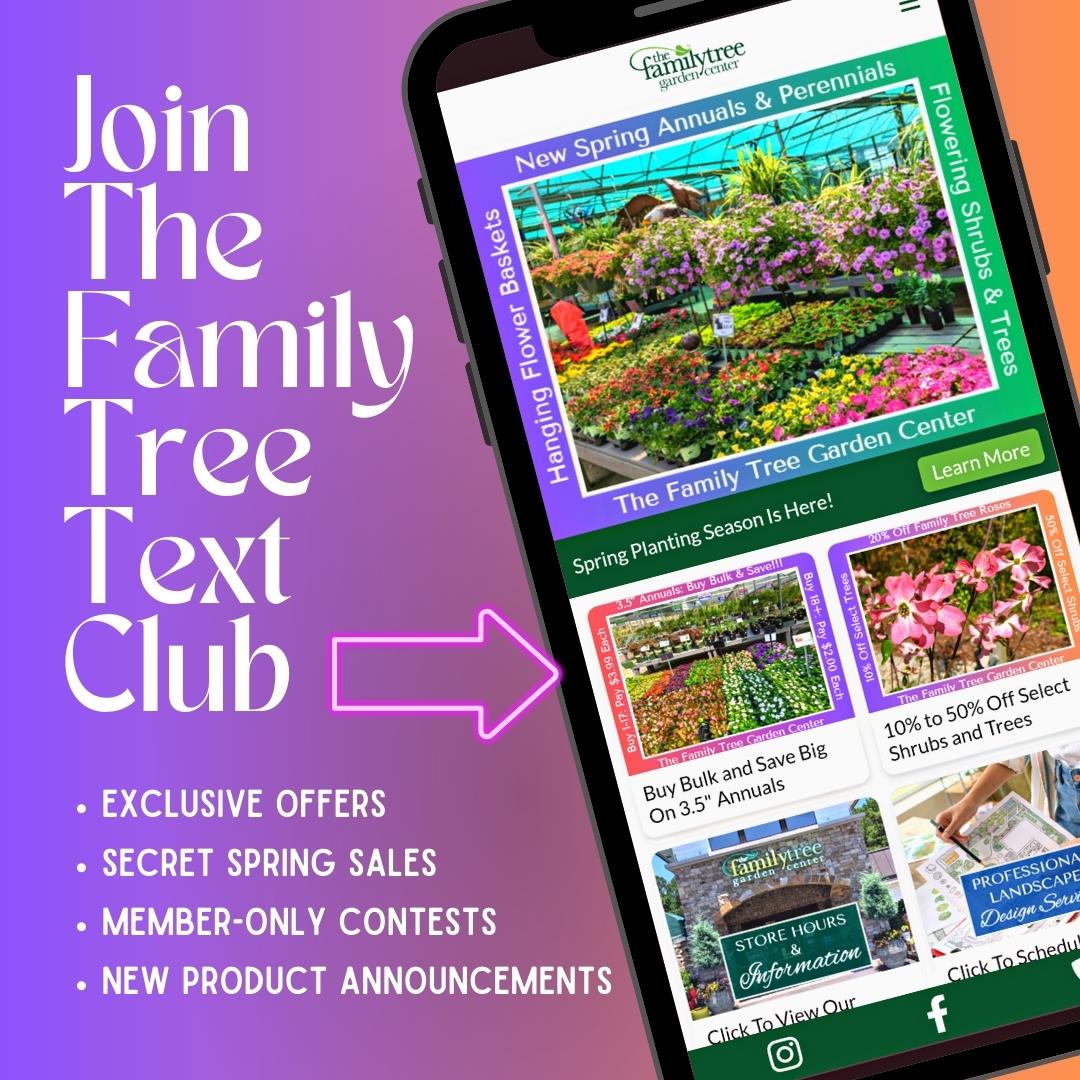 Simple Clean Phone Mockup Season Discount Instagram Post.jpg