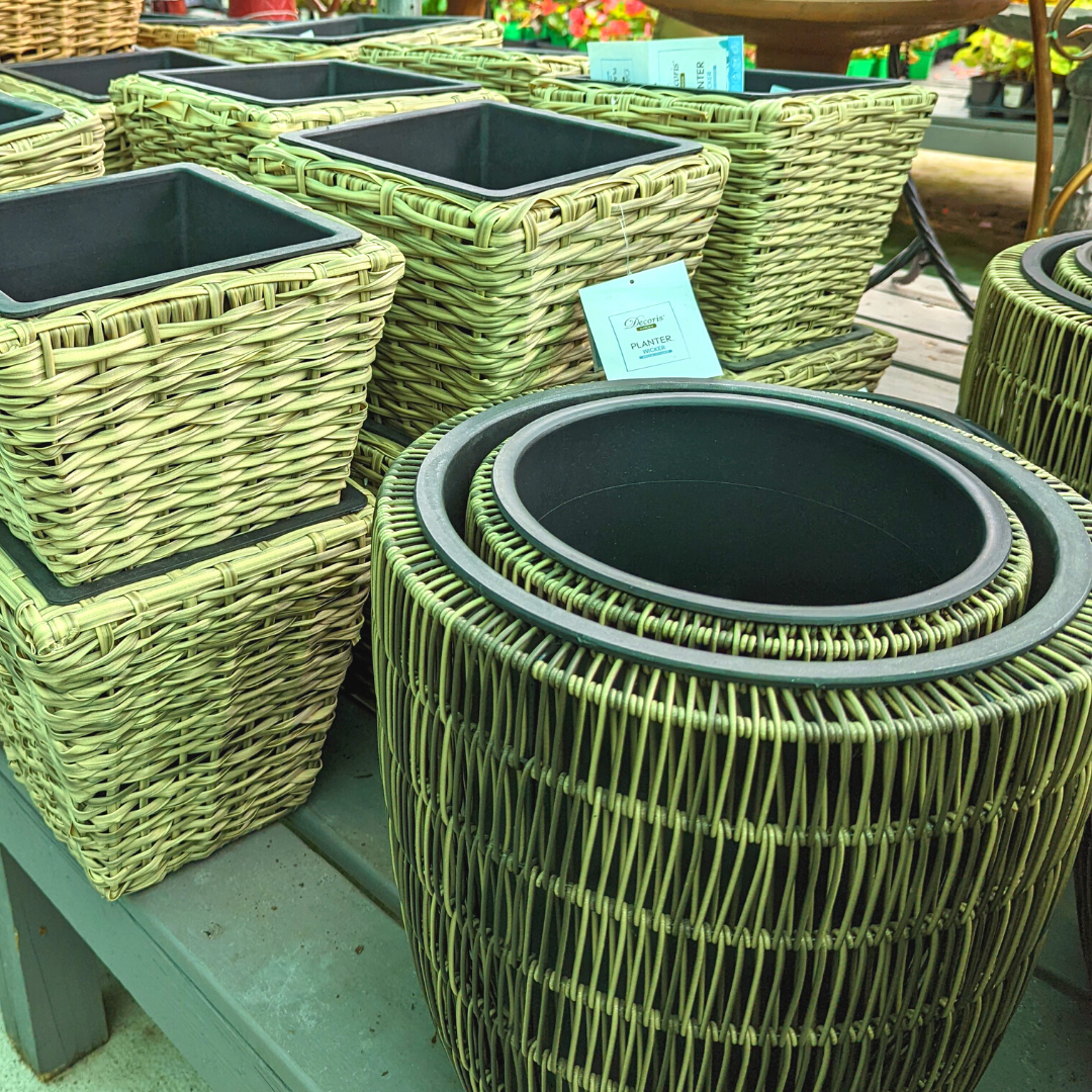 Newsletter Plant Square.png