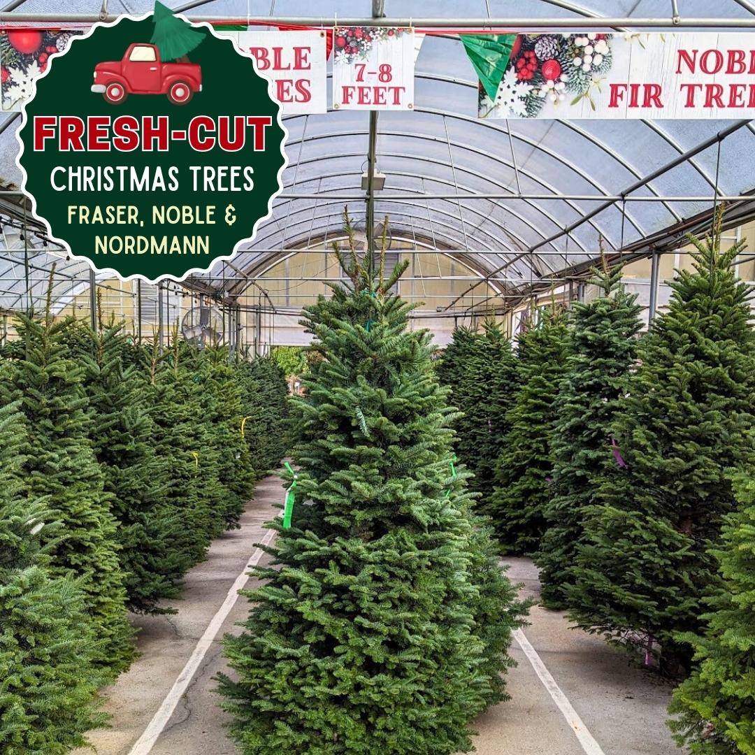 Nov. 24 Newsletter.jpg