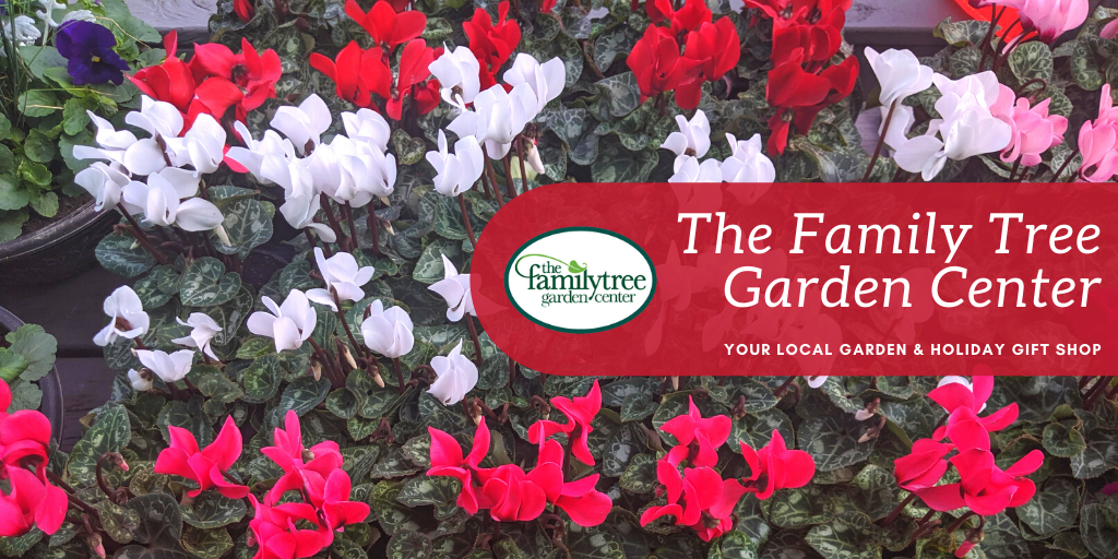 Our Garden Center Is Full of Color, Our Houseplant Room Is Fully Stocked...