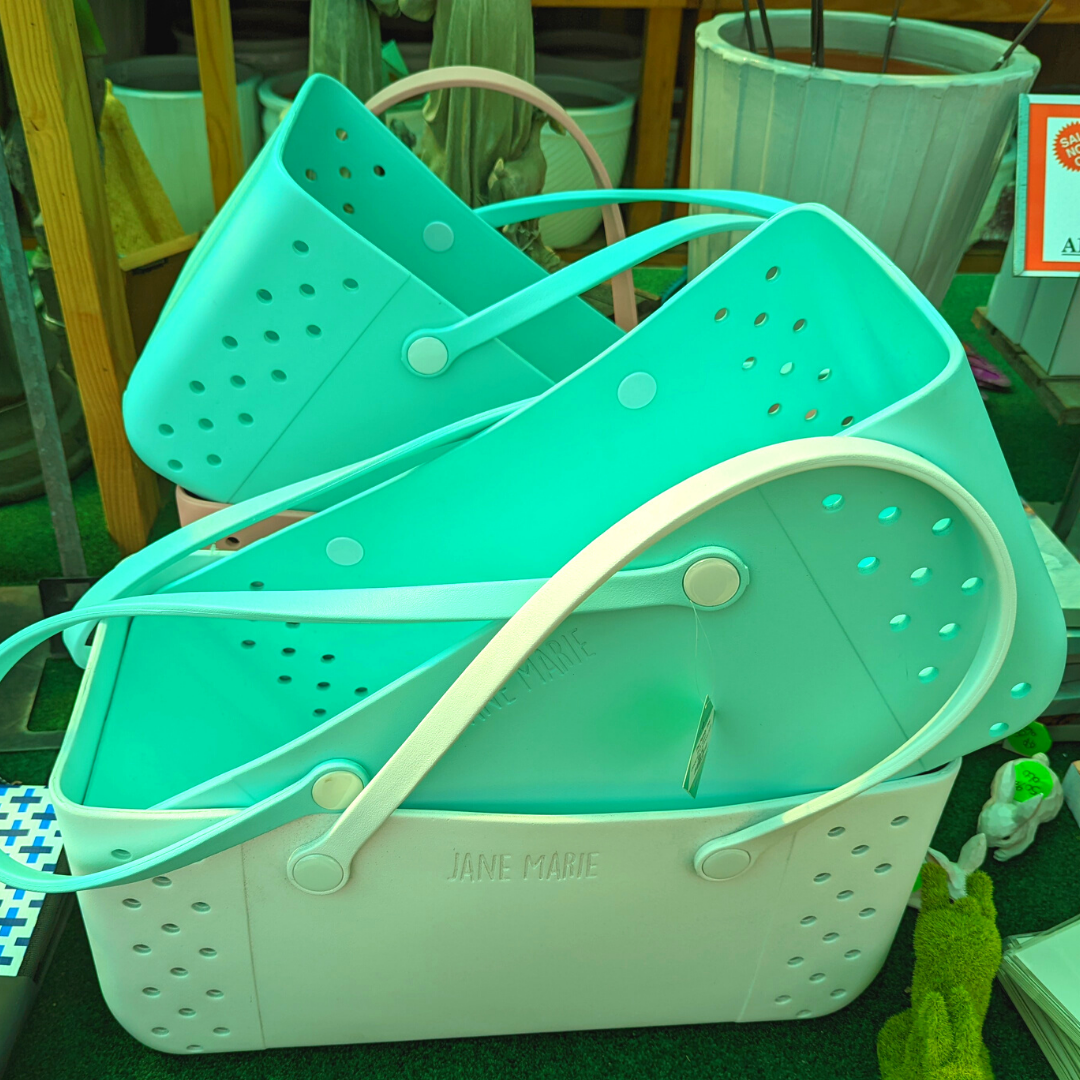 Newsletter Plant Square.png