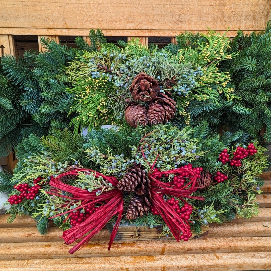 Nov. 24 Newsletter.jpg