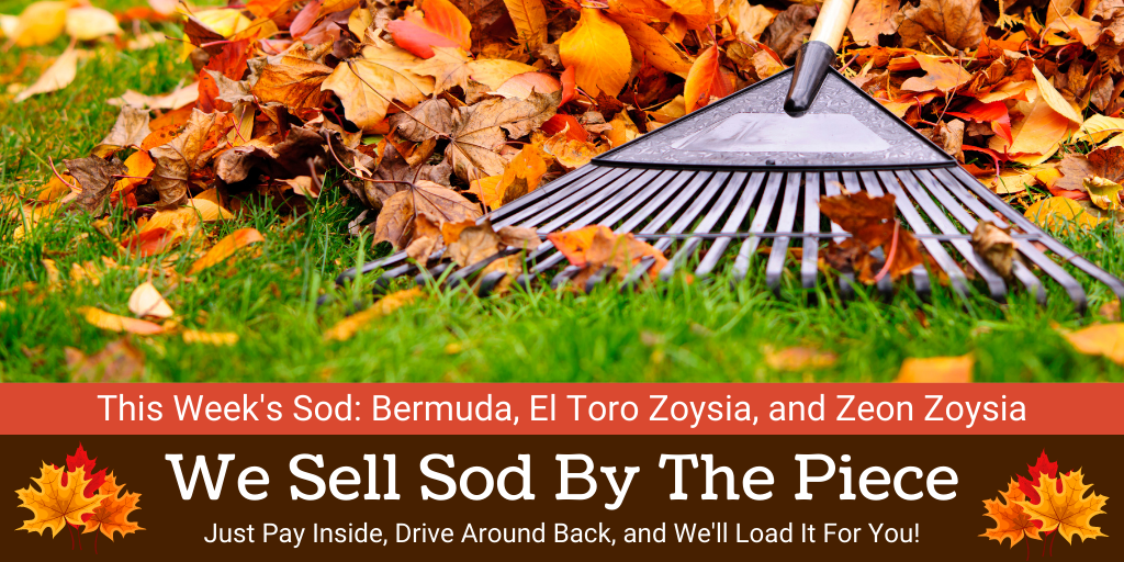 Fall Sod.png