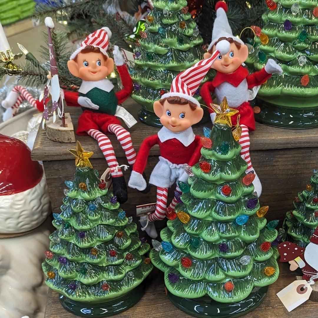 Nov. 24 Newsletter.jpg