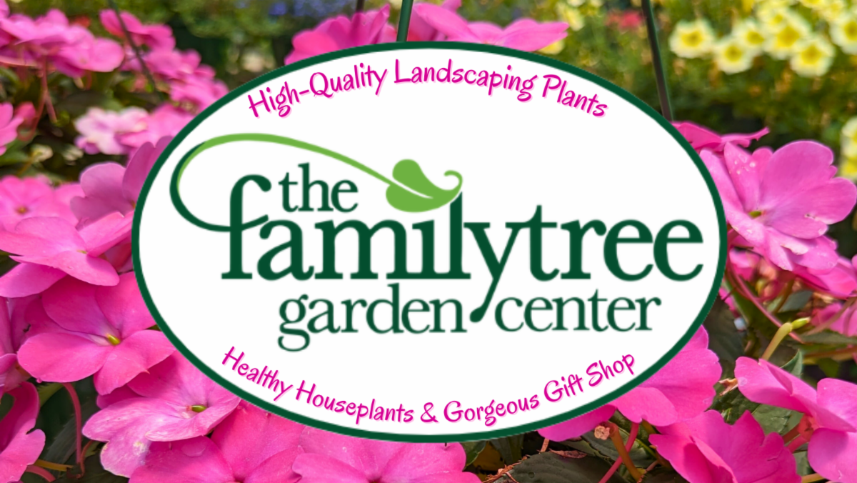 Just Arrived Colorful New Annuals and Perennials 🌼🌻🌹