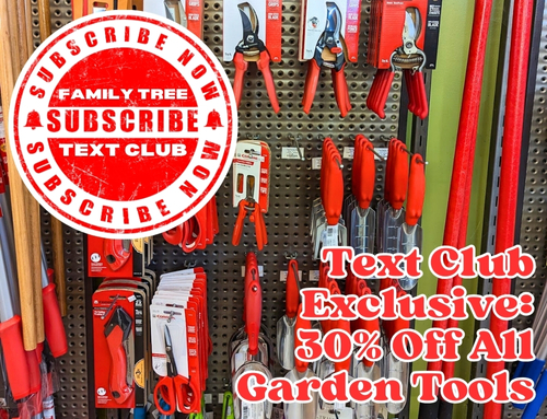 Text Club Feb. 2024 (500 x 383 px).jpg