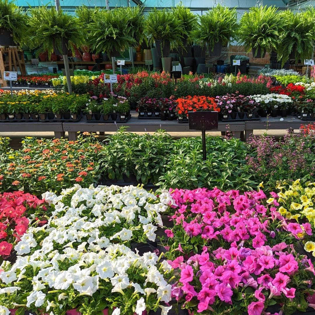 Newsletter Square April 7.jpg