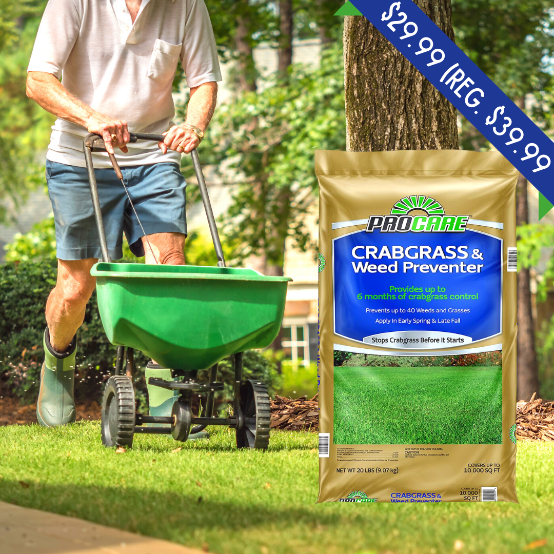 Newsletter Plant Square.png