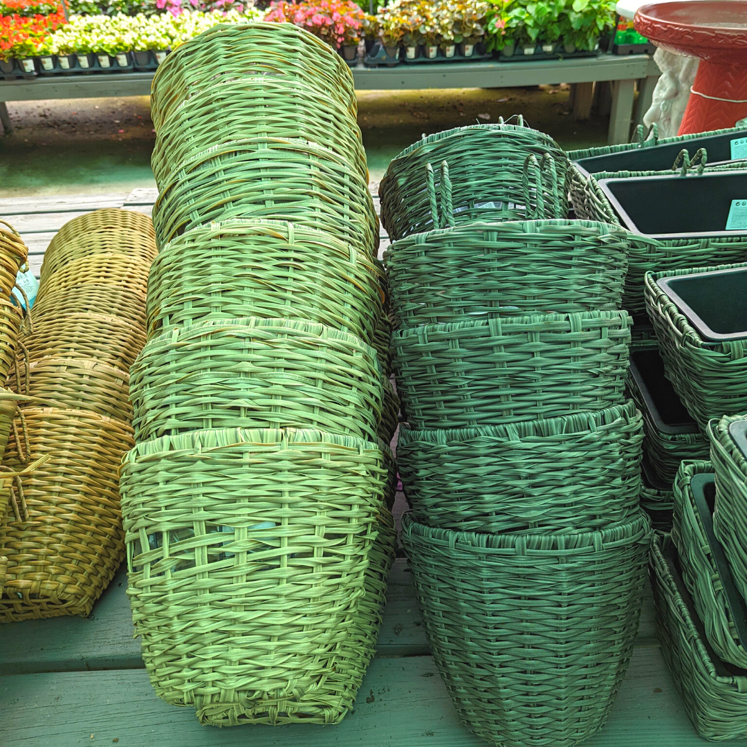 Newsletter Plant Square.png