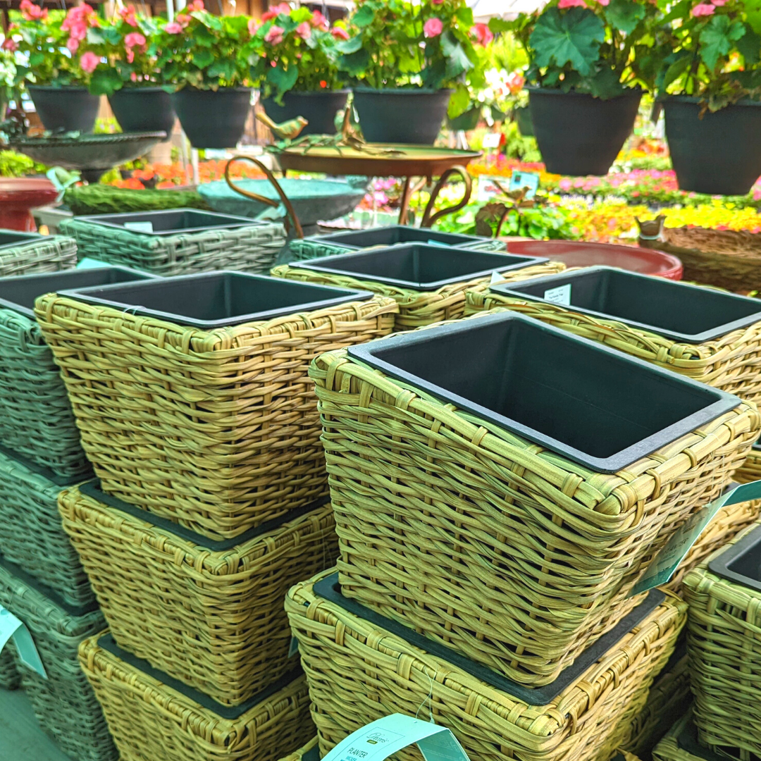 Newsletter Plant Square.png