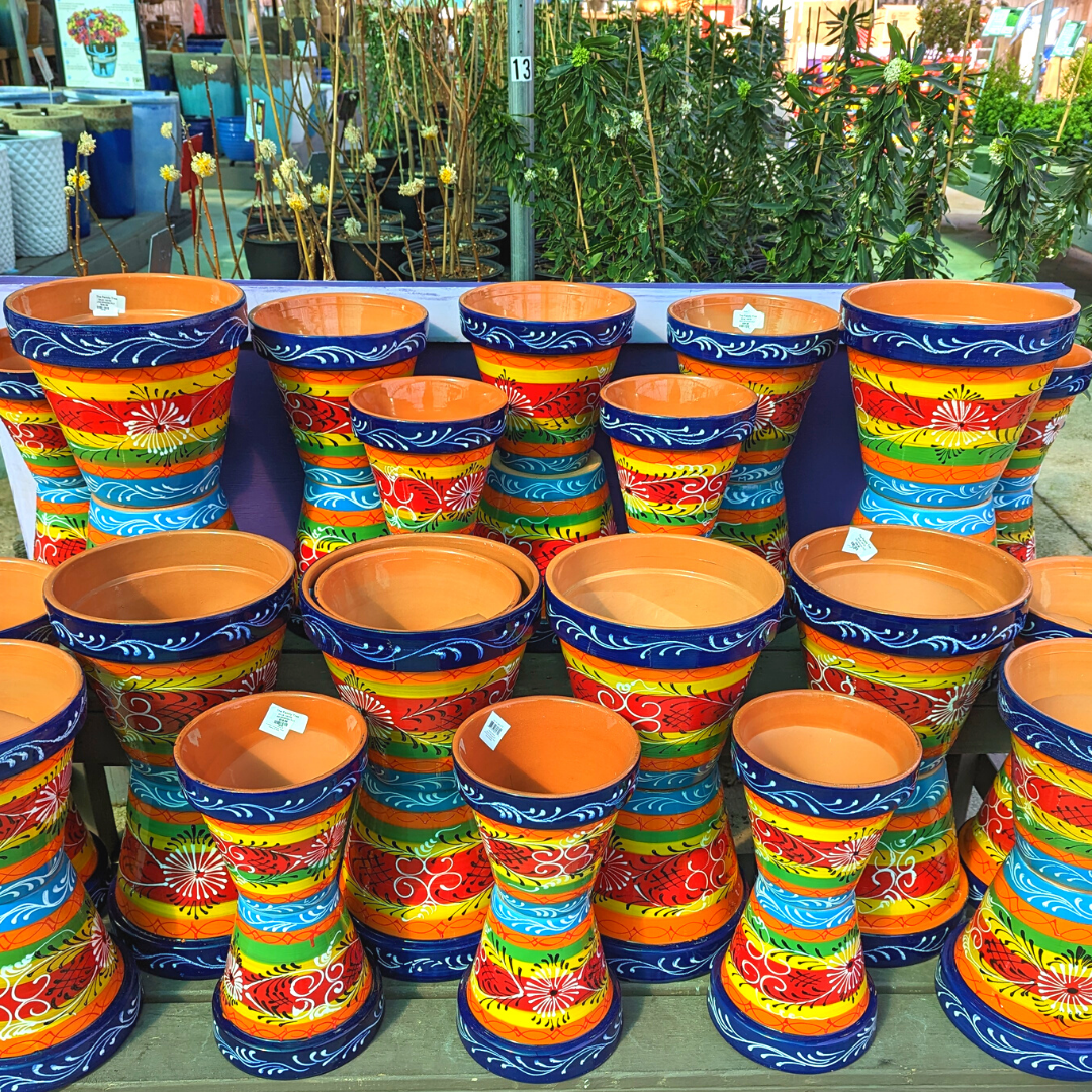 Newsletter Plant Square.png