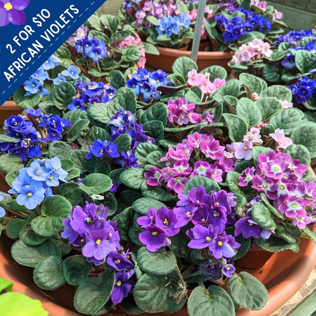 Newsletter Square June 16.jpg