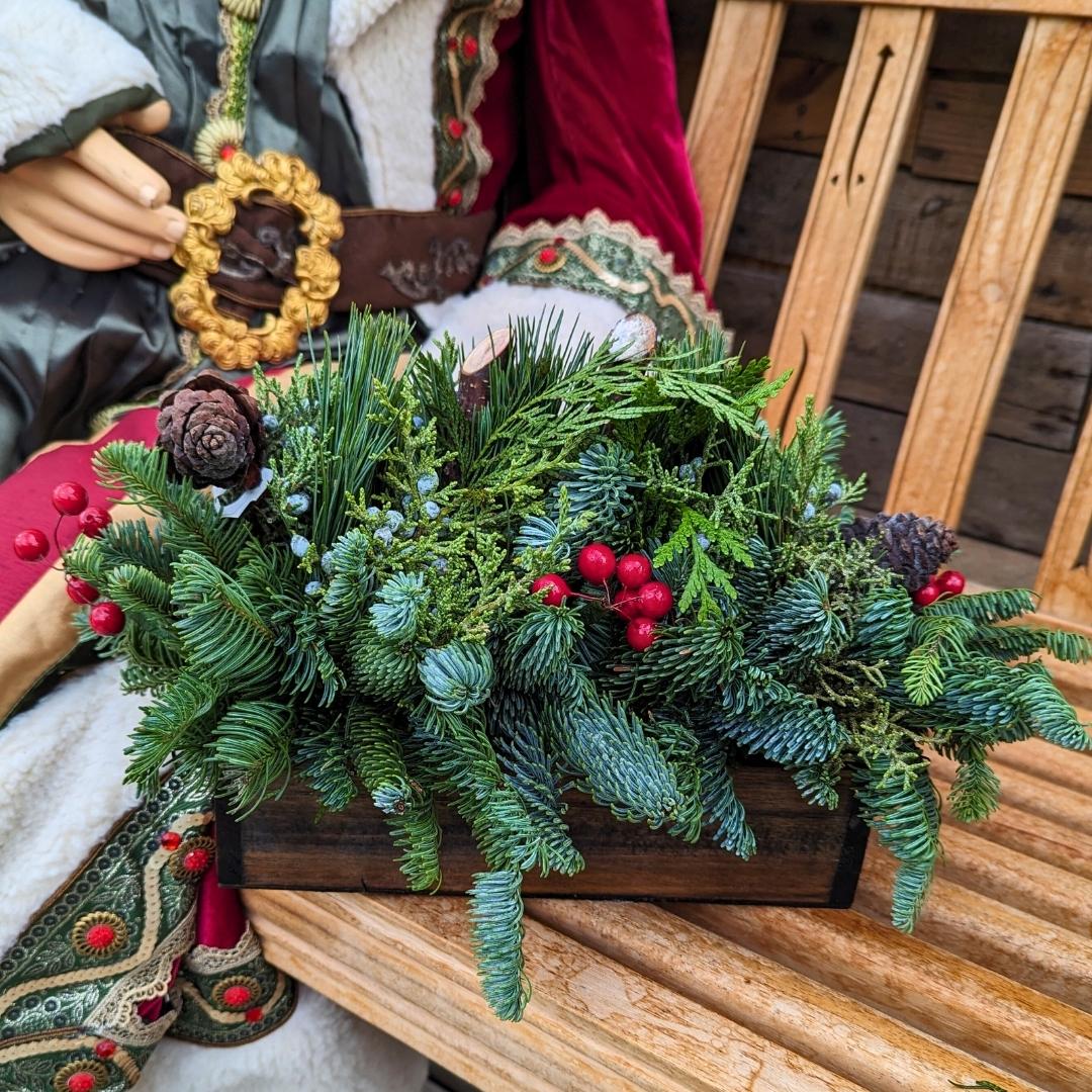 Nov. 24 Newsletter.jpg